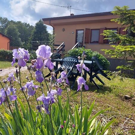 Chalet Grazia Valgiano Ngoại thất bức ảnh